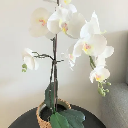 A Fantastic 3 Bedroom In Nordhavn Apartment *